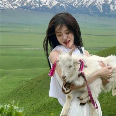 王牌总裁霸王花